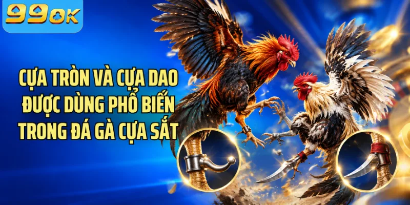 Cựa tròn và cựa dao được dùng phổ biến trong đá gà cựa sắt